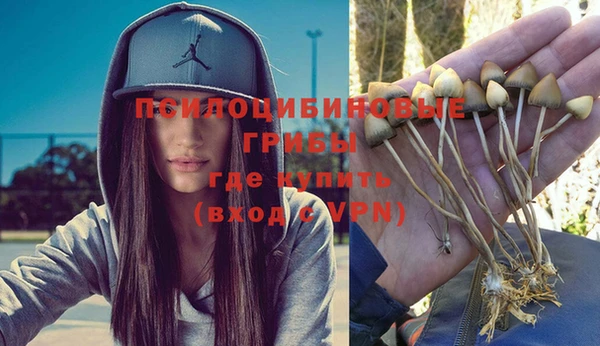 прущие крисы Зеленокумск
