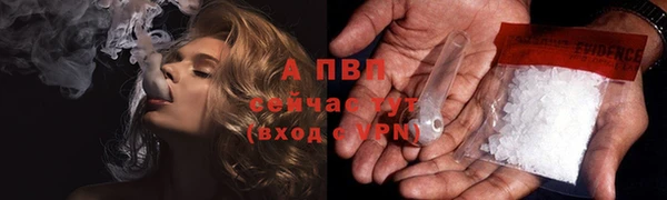 прущие крисы Зеленокумск