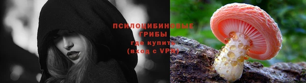 a pvp Зерноград