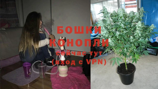 прущие крисы Зеленокумск